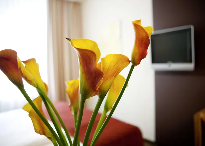 Boutique Tigra Hotel Vienna